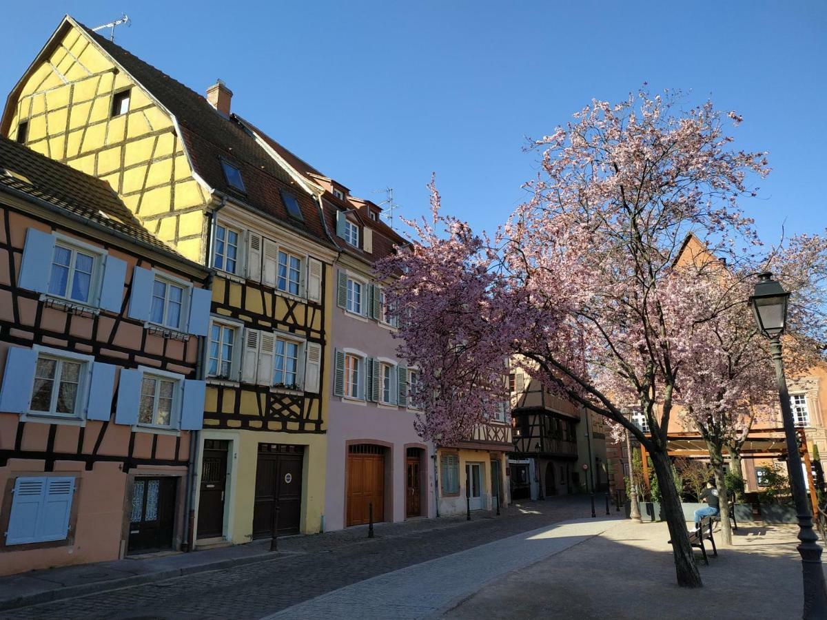 Au Brochet Villa Colmar Exterior photo