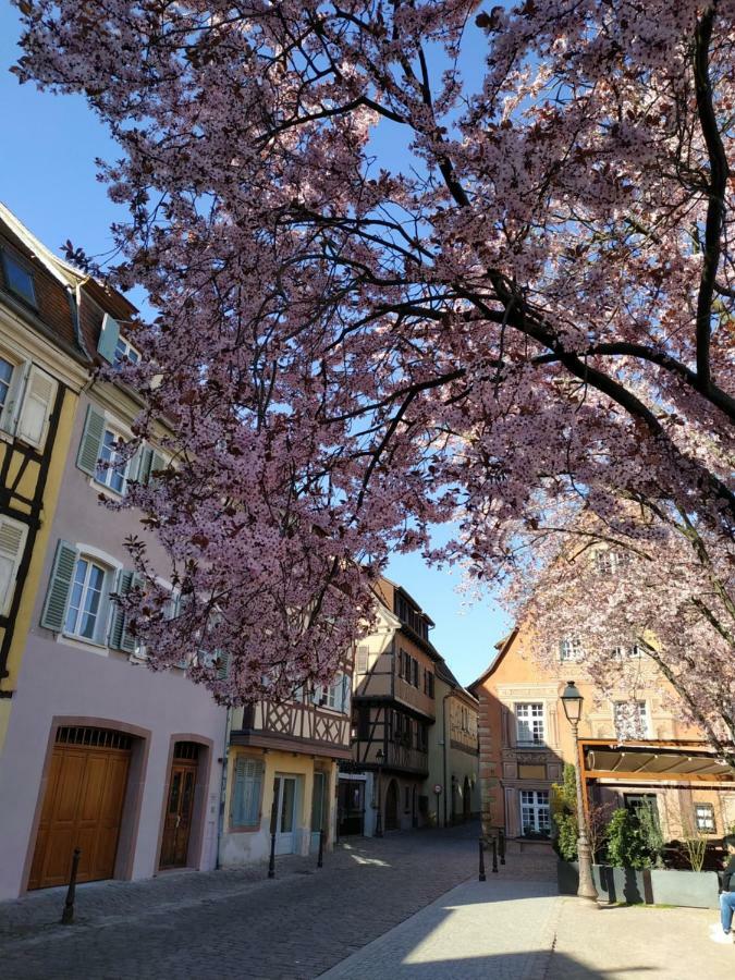 Au Brochet Villa Colmar Exterior photo